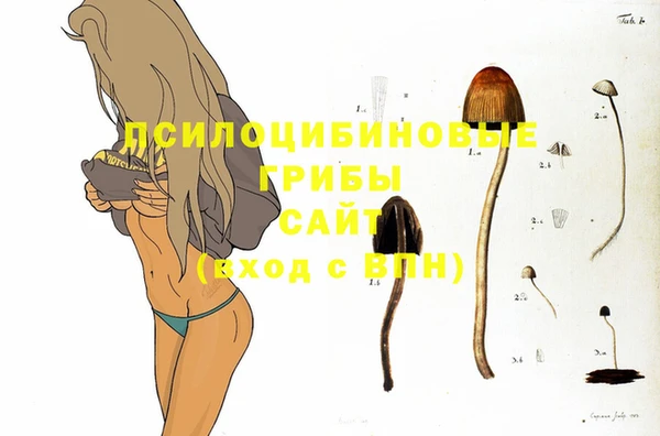а пвп мука Шадринск
