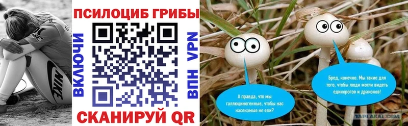 Псилоцибиновые грибы Magic Shrooms  Купить где  Алдан 